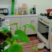 آشپزی و کارهای خونه