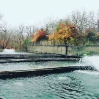 به یک نفر کارگر جهت کار در پرورش ماهی نیازمندیم