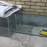 آکواریوم ماهی