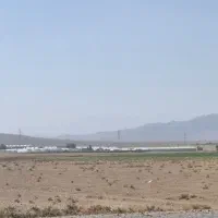 معاوظه ۵۰۰۰ متر زمین گلخانه ای