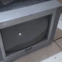 تلوزیون