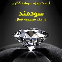 سرمایه‌گذاری و شراکت در مجموعه فعال و چندرشته‌ای