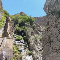 طبیعت گردی