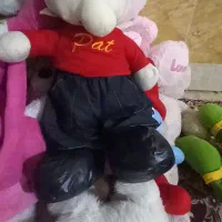 خرس عروسک