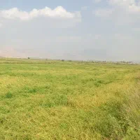 آگهی رو بخون