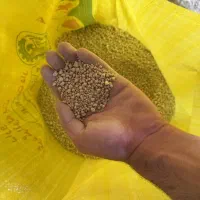 کود گرانوله کشاورزی با کیفیت عالی