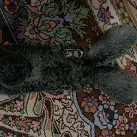 گارد گوشی A11