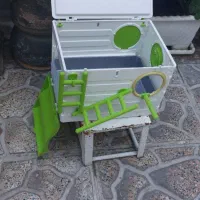 لانه عروس هلندی