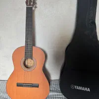 گیتار پارسی در حد نو