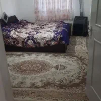 فلسطین.شهدا سند تک برگ