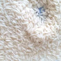 فروش برنج هاشمی و ریز دانه برنج هاشمی