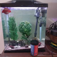 آکواریوم آکوا AQUA ابعاد ۳۶*۲۴*۴۰