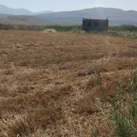 زمین-زراعی-مخصوص-باغ