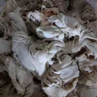فروش هزارلا و شیردون گوسفند