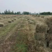 ۱۲۰ عدد پرس علوفه