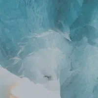 سرکتاب و دعا تضمینی