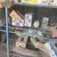 قفسه و قوطی آهن