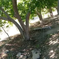زمین باغی،ویلایی