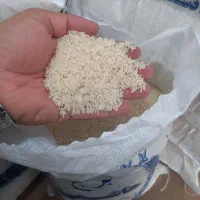 برنج هاشمی اعلا آستانه اشرفیه