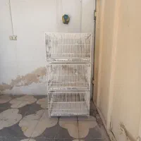 قفس غلامی