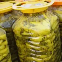 ترشی بیلهر