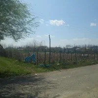 زمین-باغی-فروشی-سسمس