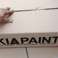 کارتن