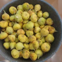 انجیرتازه گرمسار