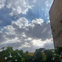 سیم کارت کد ۷ فروش فوری