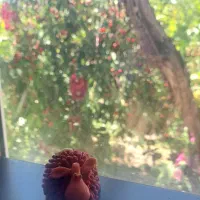شمع گوسفند