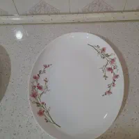 دیس پلو خوری