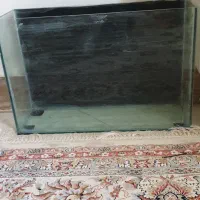 اکواریوم