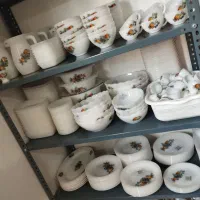 گل میوه سیب گلابی آرکوپال فرانسه