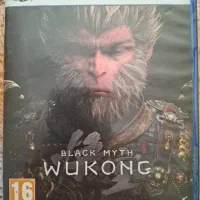 دیسک بازی wukong