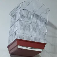 فقس پرنده