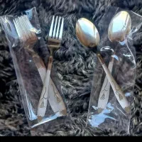 قاشق چنگال در طرح رنگ مختلف فقط عمده
