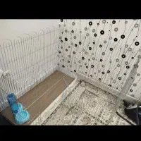 پارک حیوانات