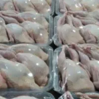 گوشت بلدرچین