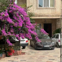 اجاره سویت های تک خوابه،دو خوابه،سه خوابه