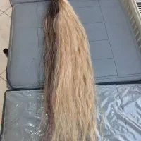 موی طبیعی ۸۰سانت