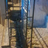 باربند وانت پیکان