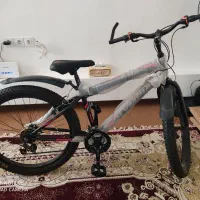 دوچرخه 26مارک المپیا