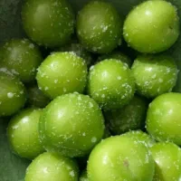 کارگر میوه فروشی