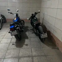 بندا ناپلئون سبز کله غازی