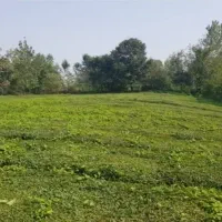 فروش زمین با قیمتی مناسب