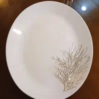 سرویس آرکوپال فرانسوا درجه یک در ۲طرح