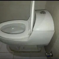 سرویس فرنگی آرمیتاژ