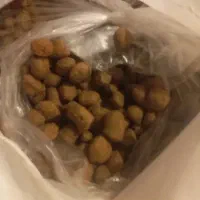 غذای خشک سگ
