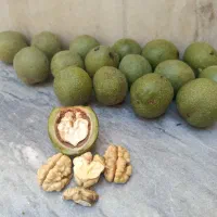 گردو پوست کاغذی درجه یک