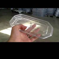 ظروف یکبار مصرف